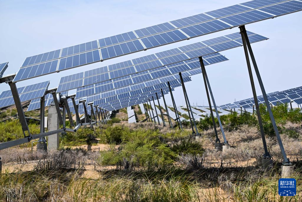 内蒙古达拉特旗:沙海变“蓝海”