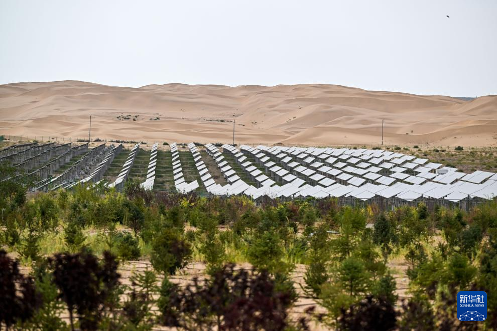 内蒙古达拉特旗:沙海变“蓝海”