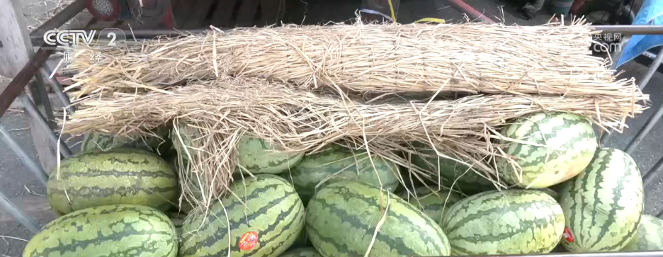 8月份消费市场运行总体平稳 “果盘子”“肉案子”物丰价降