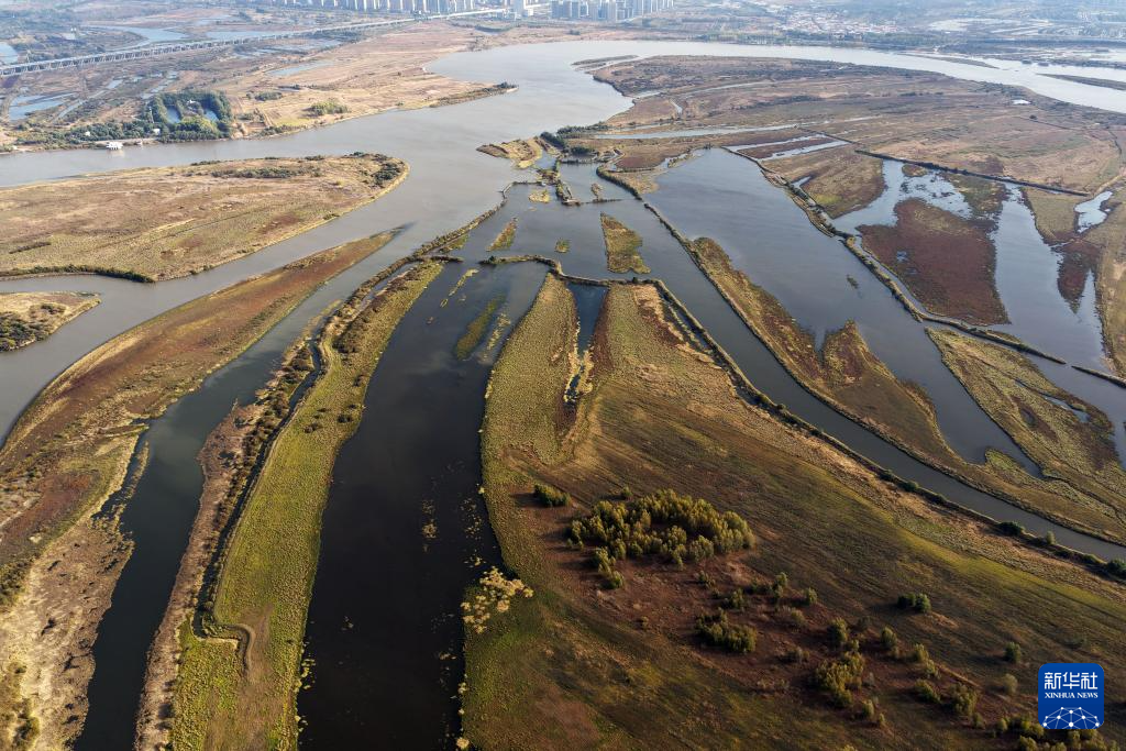 哈尔滨湿地秋韵美