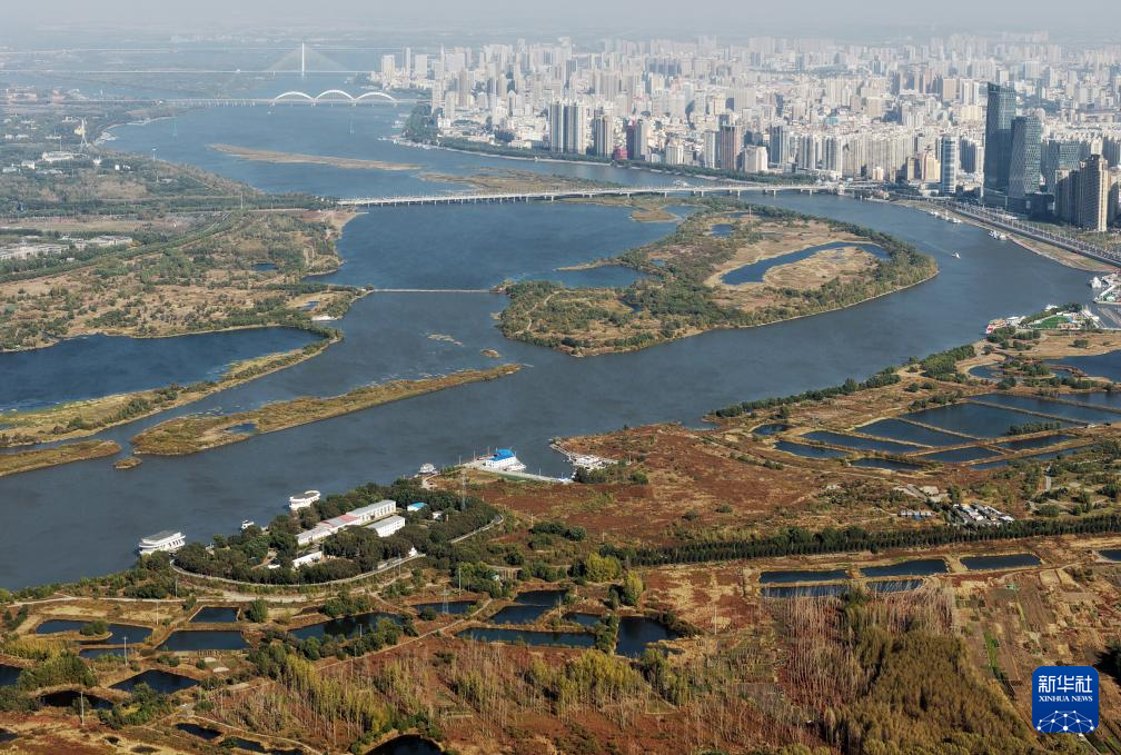 哈尔滨湿地秋韵美