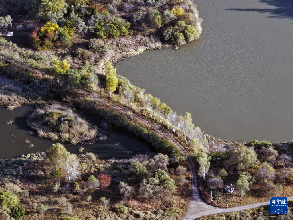 哈尔滨湿地秋韵美