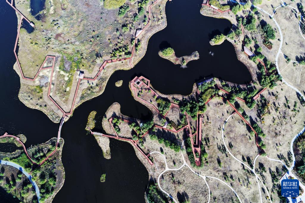 哈尔滨湿地秋韵美