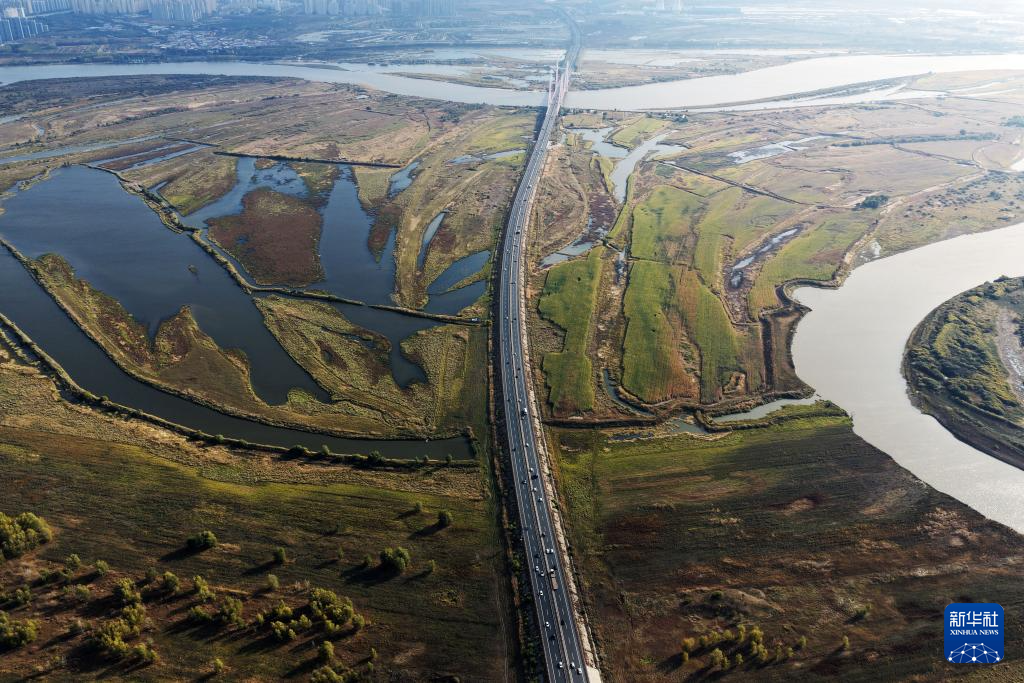 哈尔滨湿地秋韵美