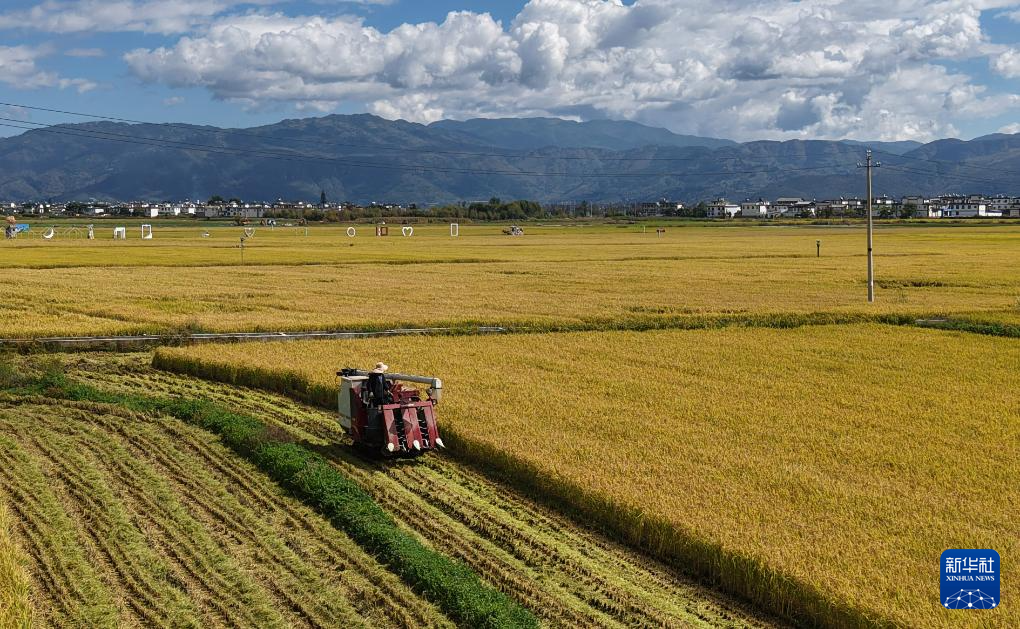 全国秋粮收获过五成
