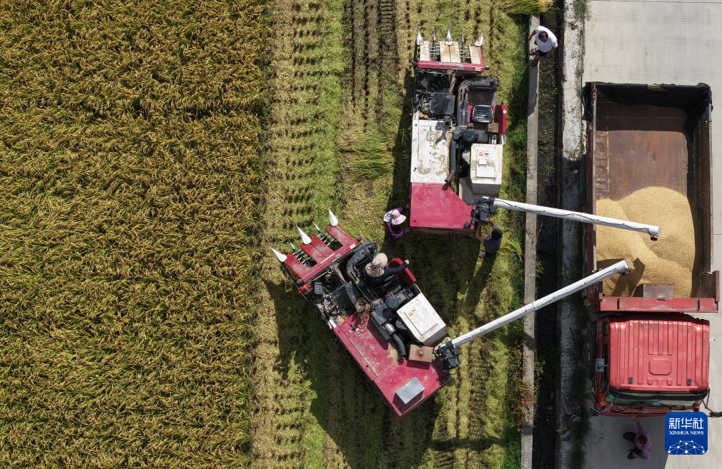 全国秋粮收获过五成