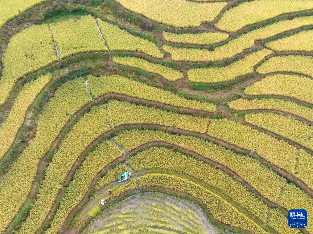 全国秋粮收获过五成