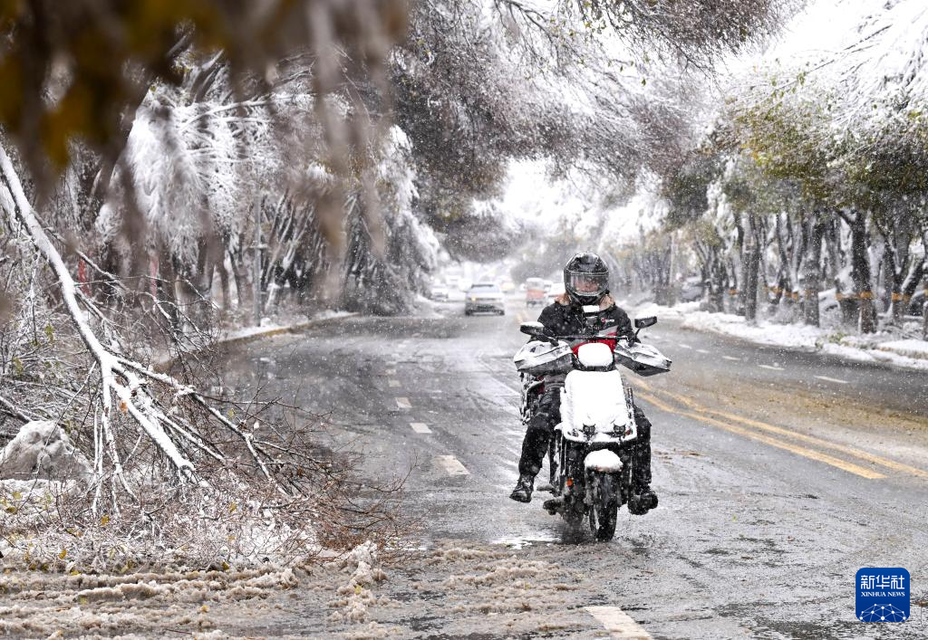 新疆多地迎来降雪