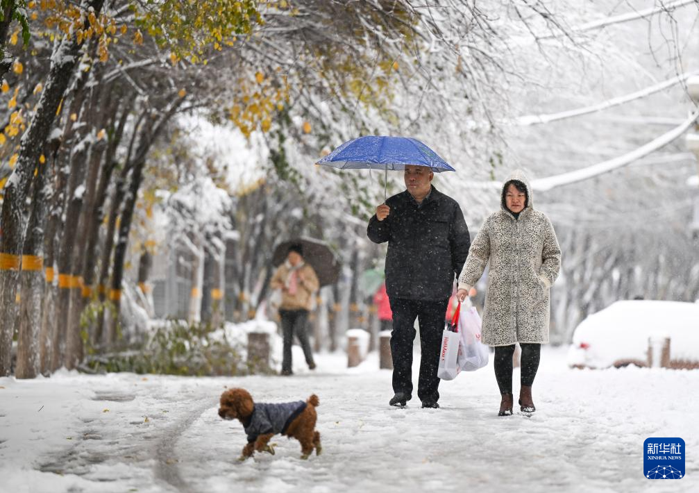 新疆多地迎来降雪