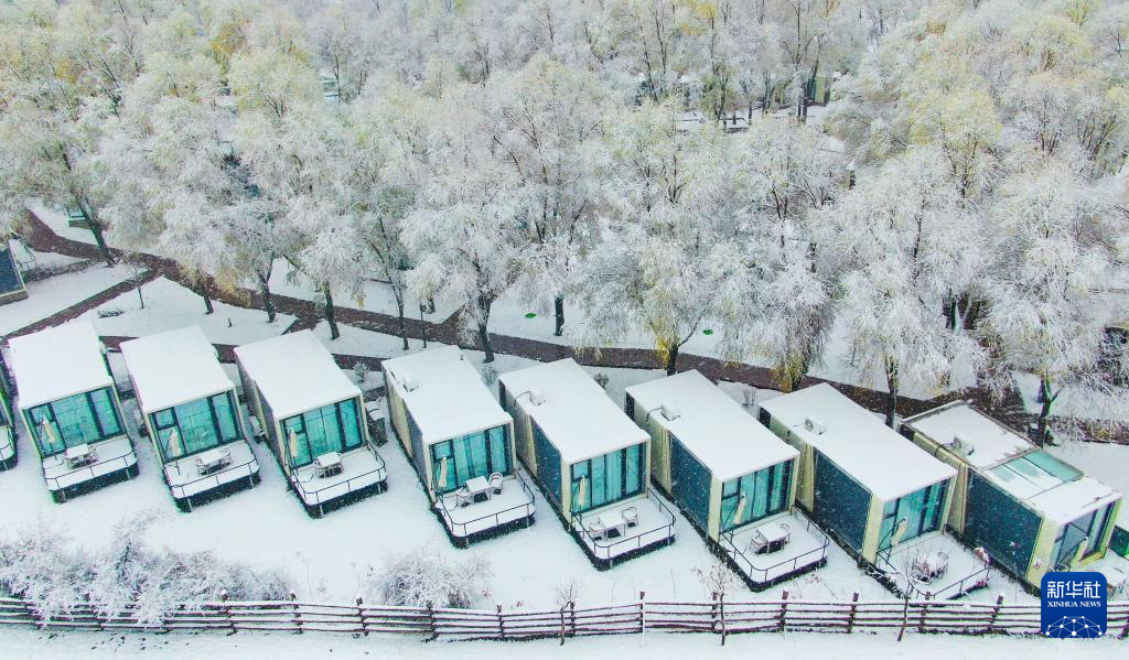 新疆多地迎来降雪