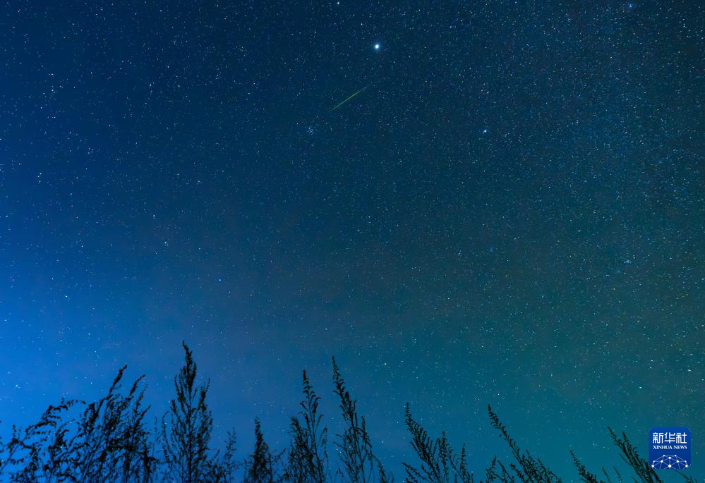 星空相册|狮子座流星雨闪耀夜空