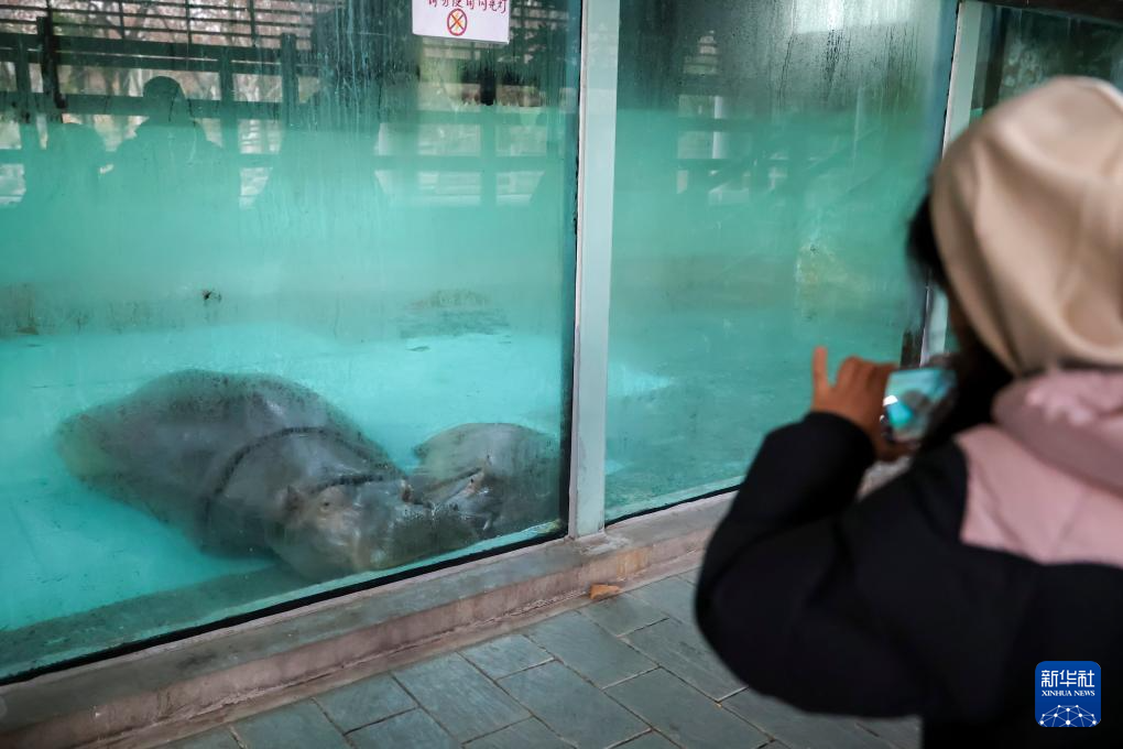 上海动物园:让小动物温暖过冬