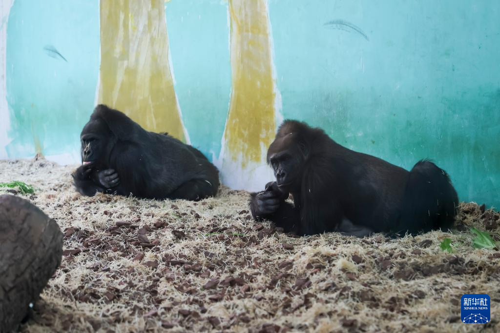 上海动物园:让小动物温暖过冬