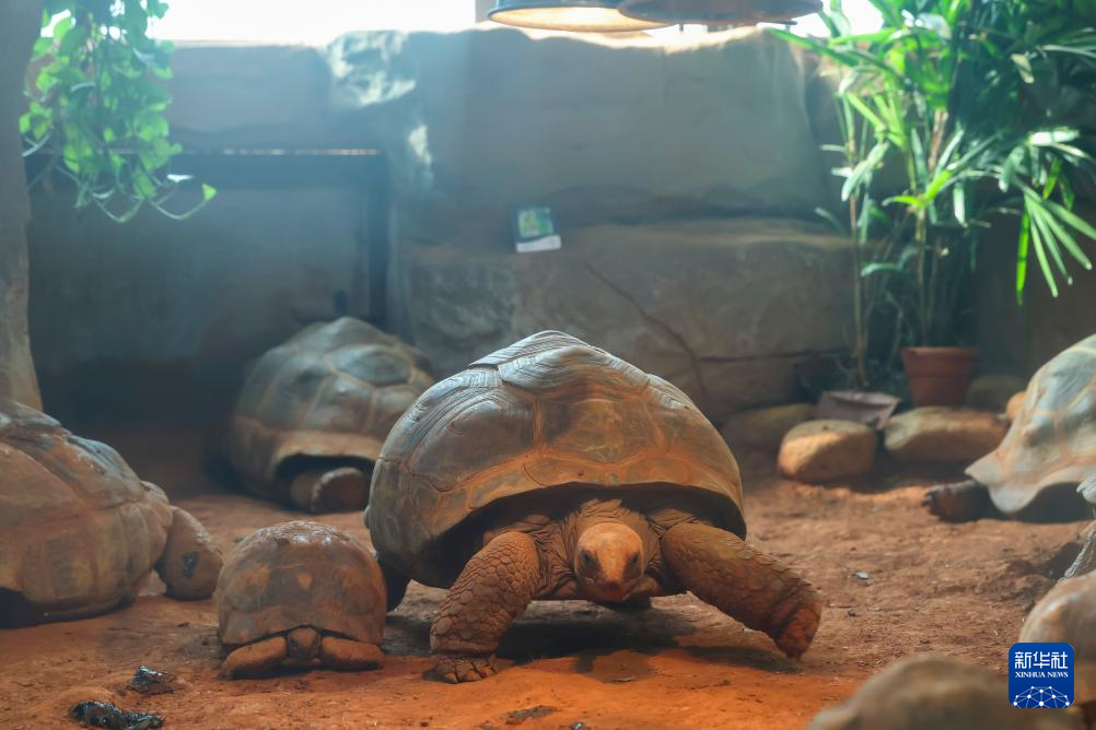 上海动物园:让小动物温暖过冬