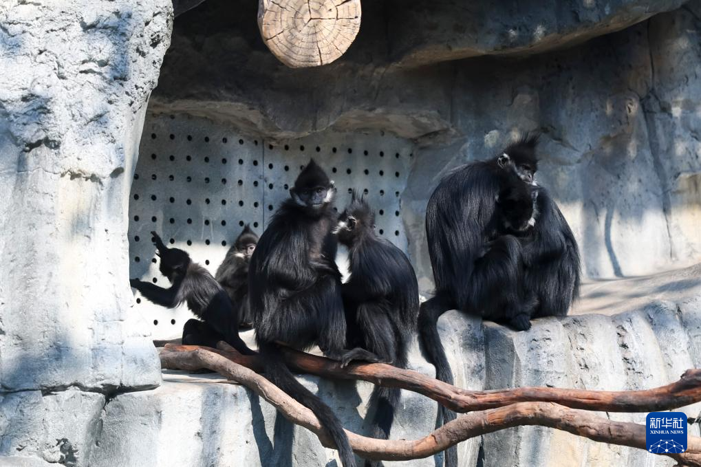 上海动物园:让小动物温暖过冬