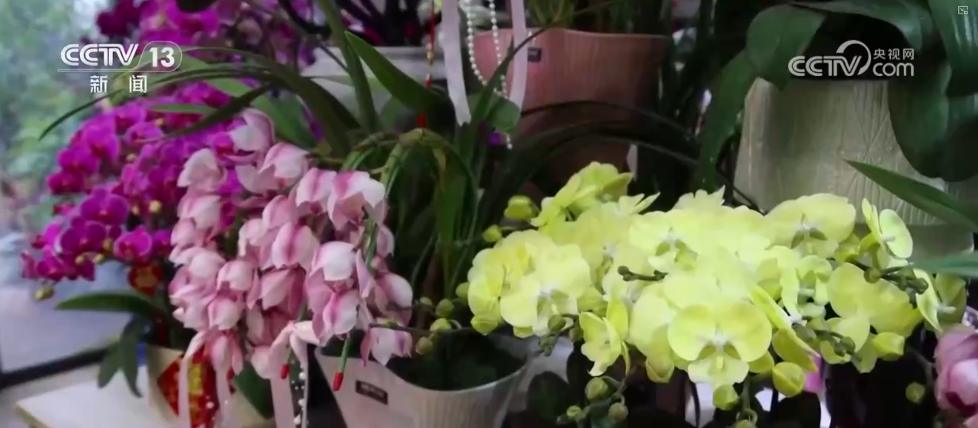 “年货市集+民俗体验”沉浸式感受中国年味 “年经济”点亮节前消费新图景