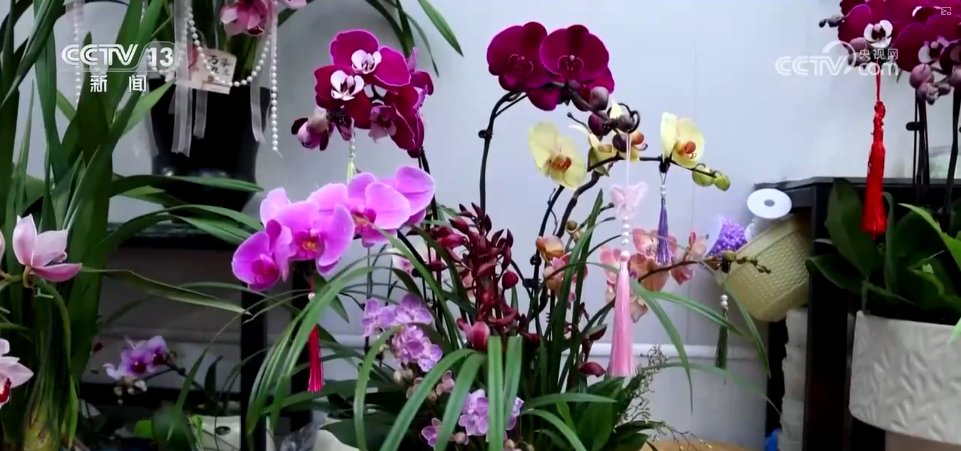 “年货市集+民俗体验”沉浸式感受中国年味 “年经济”点亮节前消费新图景