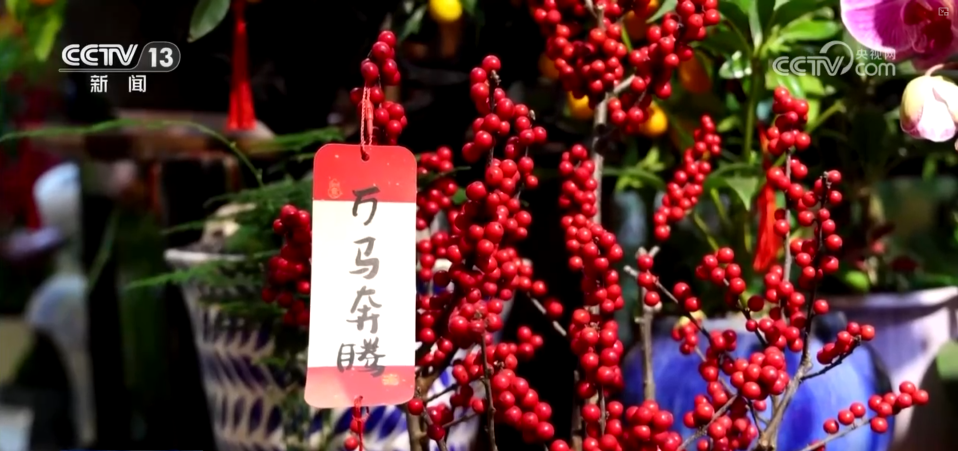 “年货市集+民俗体验”沉浸式感受中国年味 “年经济”点亮节前消费新图景