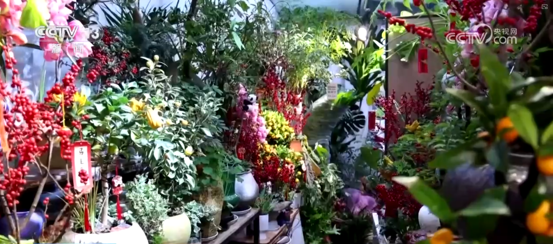 “年货市集+民俗体验”沉浸式感受中国年味 “年经济”点亮节前消费新图景