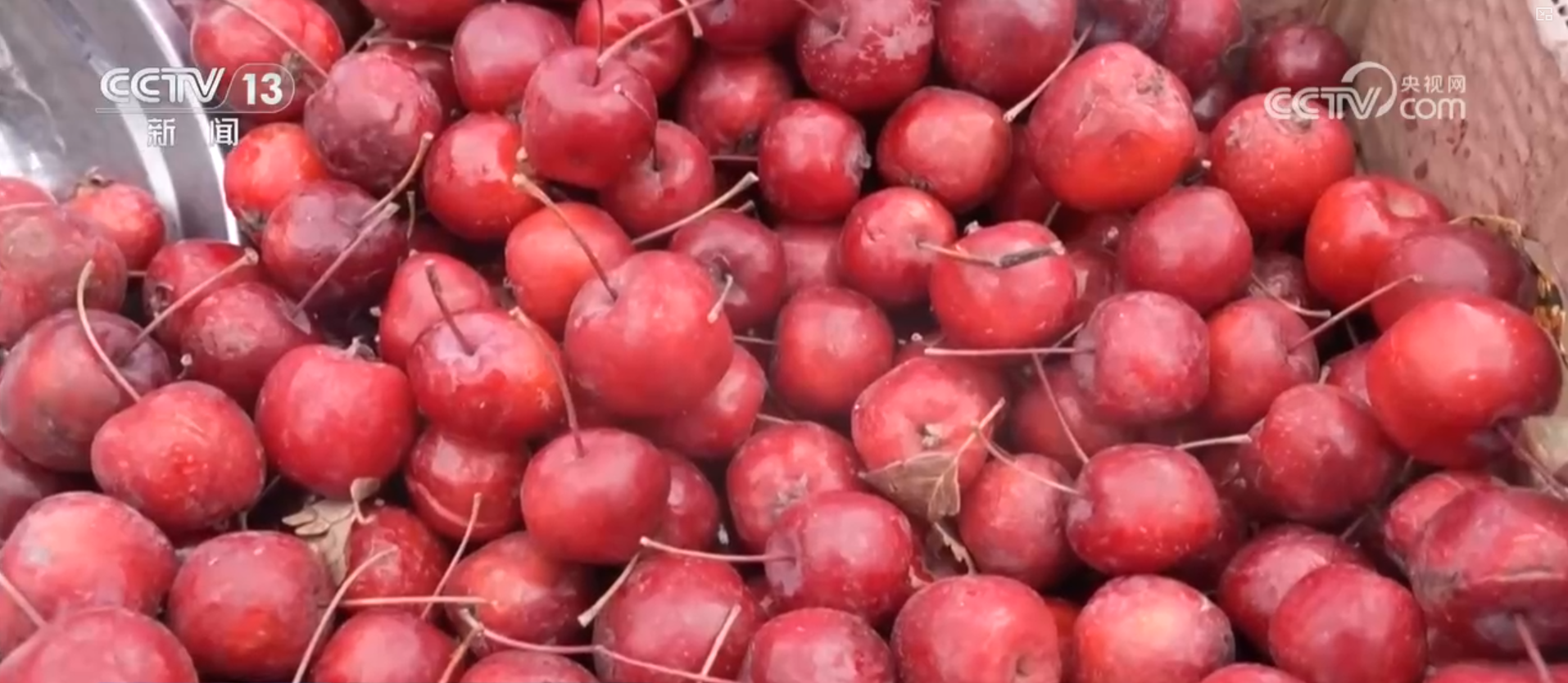 “年货市集+民俗体验”沉浸式感受中国年味 “年经济”点亮节前消费新图景