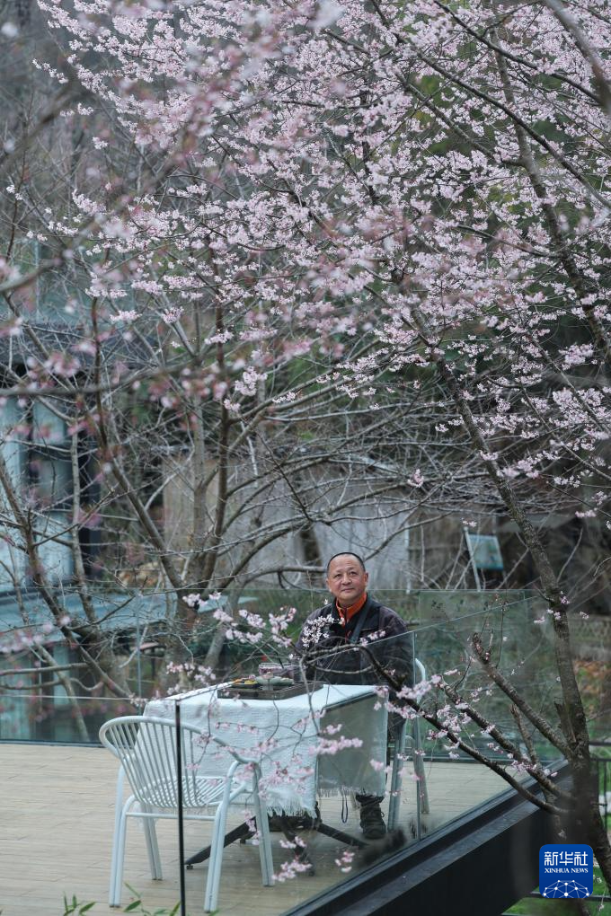 美丽中国丨万亩山花迎春来 山乡美景助共富