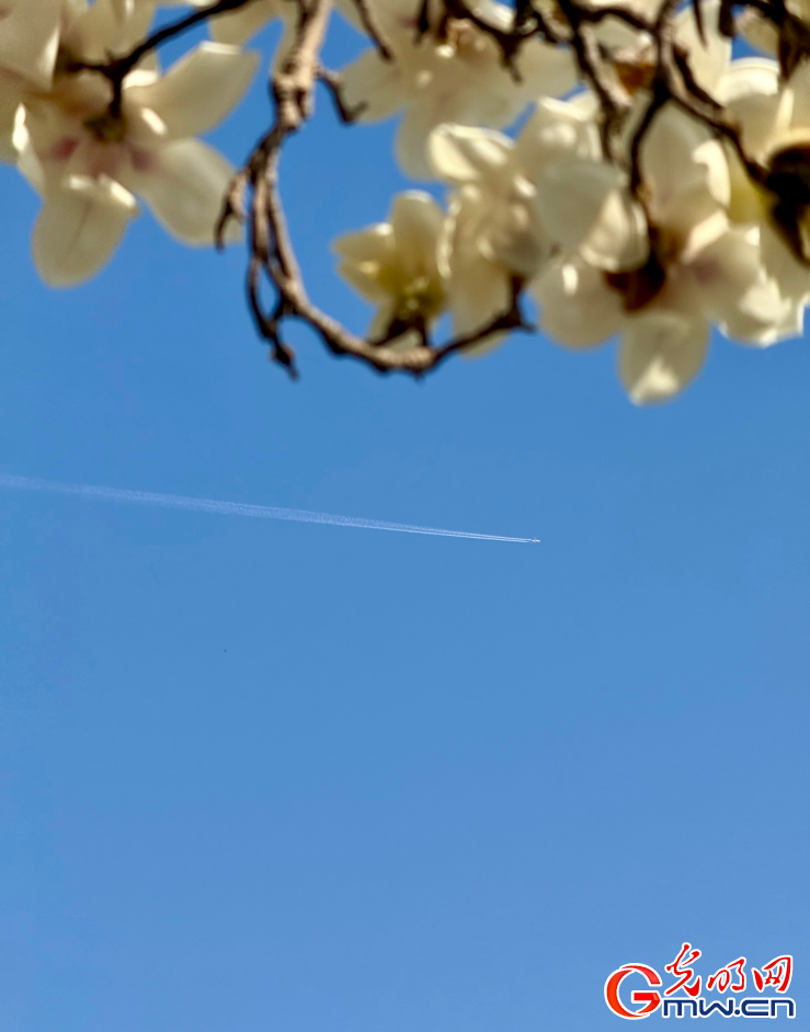 春日游园乐享好时光