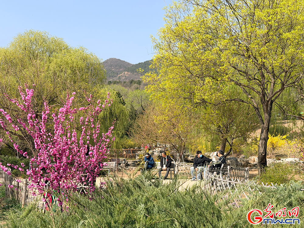 【网络中国节】清明时节 踏青赏花正当时 【网络中国节】清明时节 踏青赏花正当时
