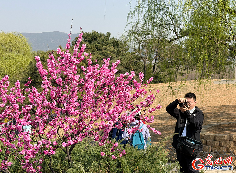 【网络中国节】清明时节 踏青赏花正当时 【网络中国节】清明时节 踏青赏花正当时