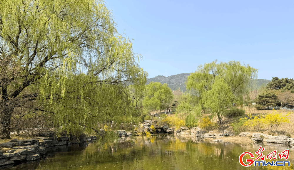 【网络中国节】清明时节 踏青赏花正当时 【网络中国节】清明时节 踏青赏花正当时