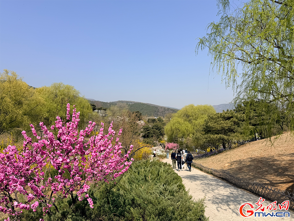 【网络中国节】清明时节 踏青赏花正当时 【网络中国节】清明时节 踏青赏花正当时