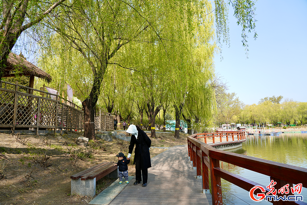 【网络中国节】清明时节 踏青赏花正当时 【网络中国节】清明时节 踏青赏花正当时