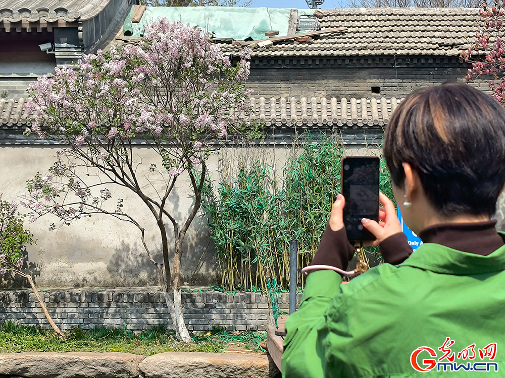 【网络中国节】清明时节 踏青赏花正当时 【网络中国节】清明时节 踏青赏花正当时