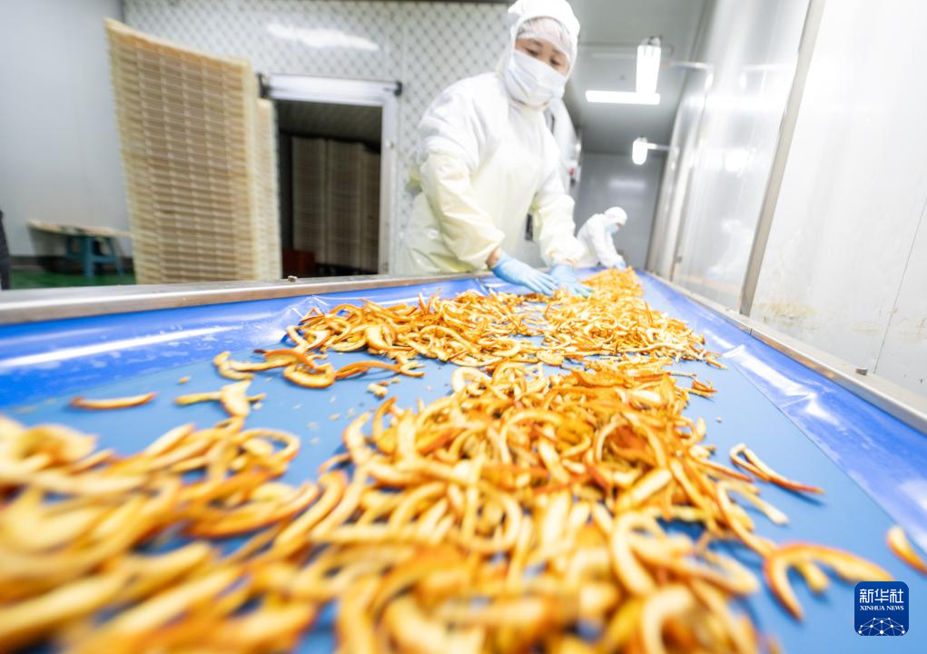 湖北秭归:脐橙全果加工 助力乡村振兴