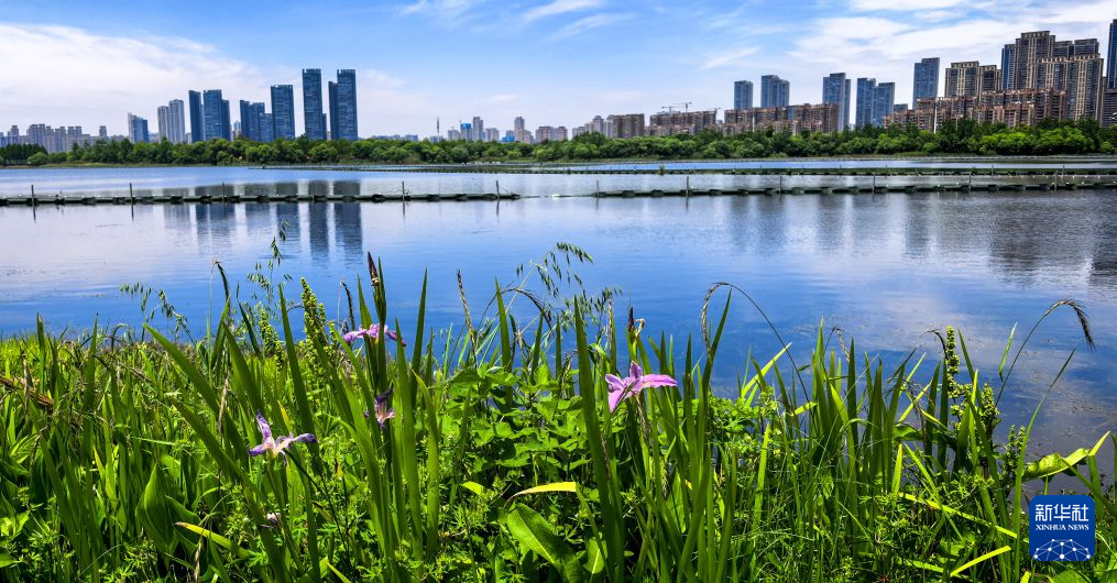 美丽中国丨荆楚大地 水韵华章