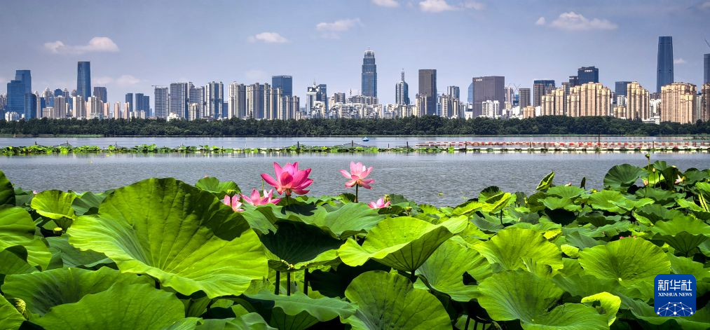 美丽中国丨荆楚大地 水韵华章