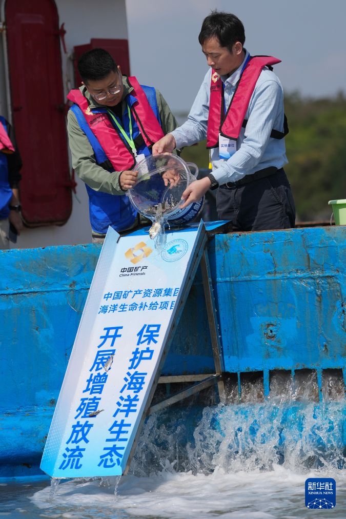 开展增殖放流 保护海洋生态